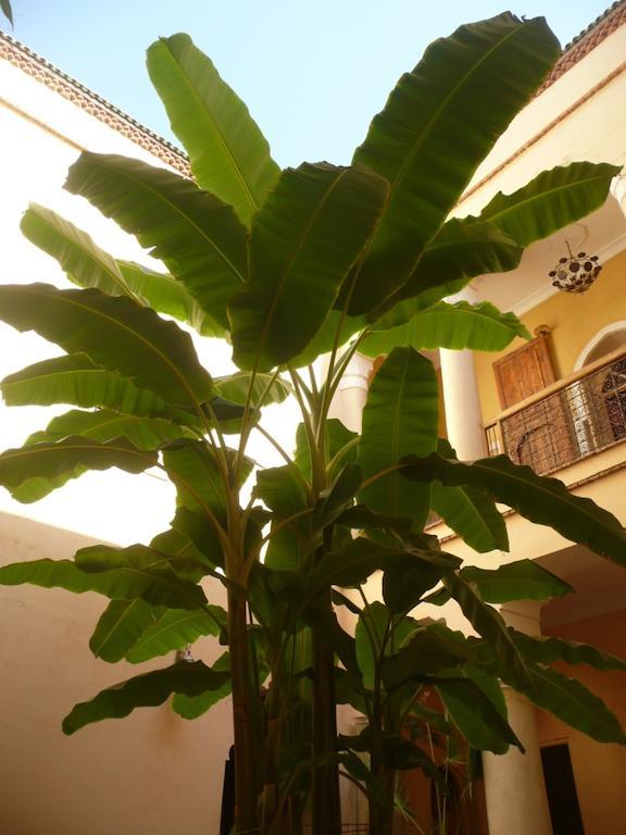 Riad Ker Saada Marrakesh Eksteriør billede